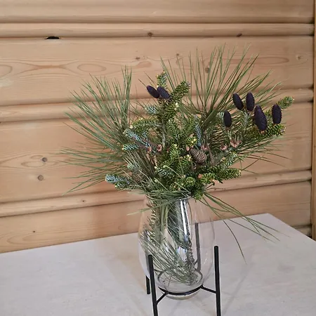 Bed & Breakfast Grota Zbojnicka I Gliczarow