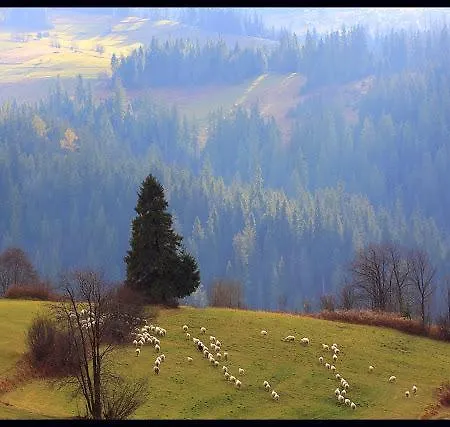 Grota Zbojnicka I Bed & Breakfast